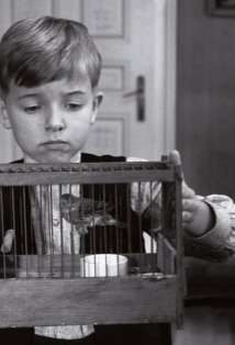 Актер Тибо Серье