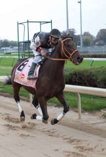 Актер Кэлвин Борел