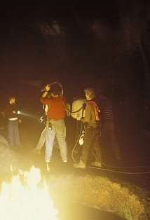 Актер Бен Торнтон