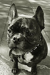 Актер Gary the Dog