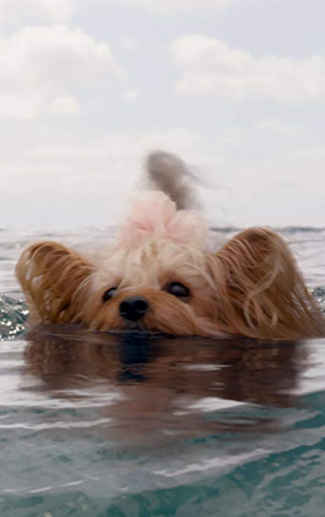 Актер Келли