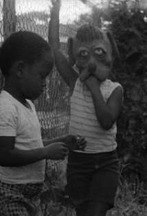 Актер Анджела Барнетт