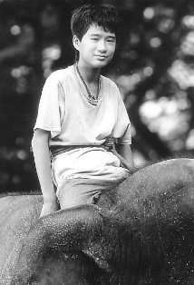 Актер Дин Зин Ле