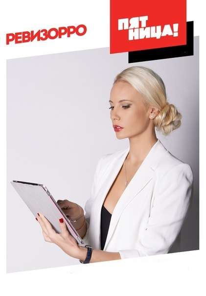 Постер сериала Ревизорро