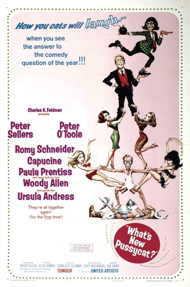 Постер фильма Что нового, кошечка?