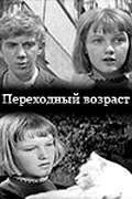 Постер фильма Переходный возраст