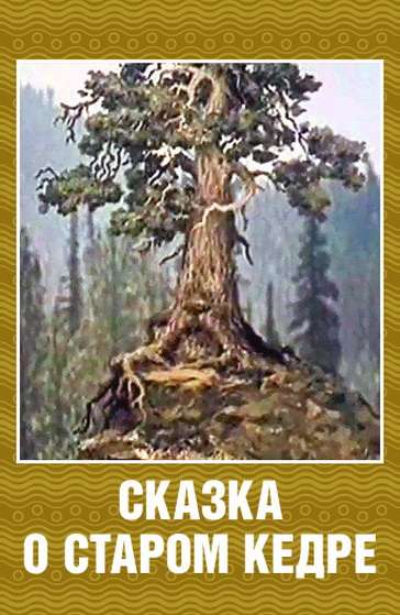 Фильм Сказка о старом кедре