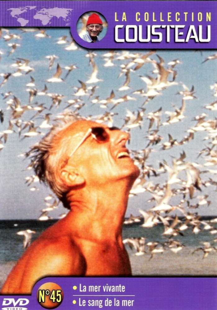 Сериал Одиссея Жака Кусто
