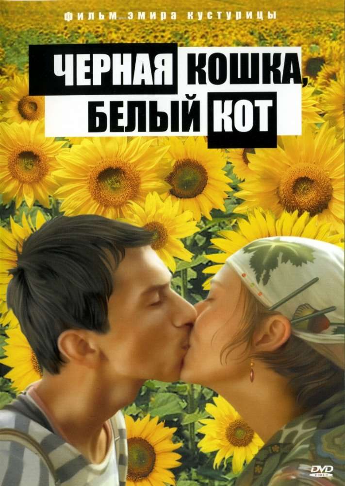 Постер фильма Черная кошка, белый кот