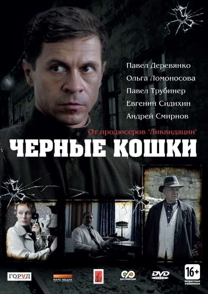 Сериал Черные кошки